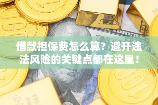 济南借款担保费怎么算？避开违法风险的关键点都在这里！
