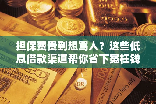 济南担保费贵到想骂人？这些低息借款渠道帮你省下冤枉钱