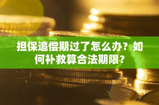 济南担保追偿期过了怎么办？如何补救算合法期限？
