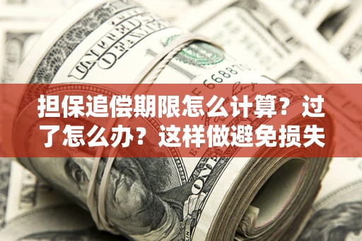 济南担保追偿期限怎么计算？过了怎么办？这样做避免损失！